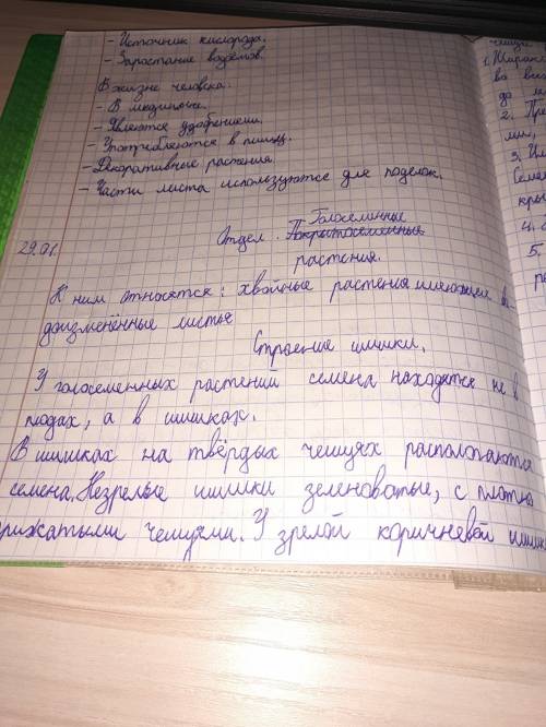 Признаки голосеменных позволяющие поставить из на более высокою эволюционную ступень чем папоротники