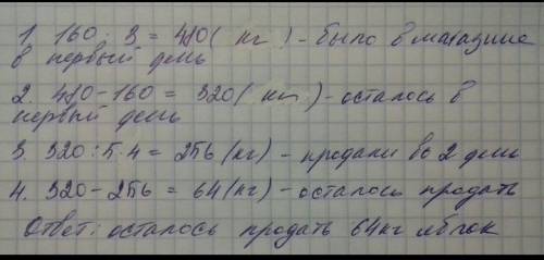 Магазин продал в первый день 160кг яблок, что составляет 1/3 (одну третих) всех яблок, во второй ден