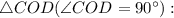 \triangle COD (\angle COD = 90^{\circ}):