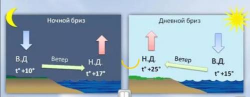 На берегах морей, крупных озёр в течение суток дует прибрежный ветер, который меняет свое направлени