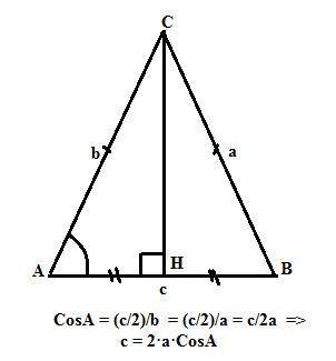 Существует ли треугольник, для которого справедливо﻿ равенство c = 2a*cosa