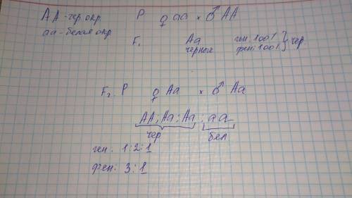 Скрешиволи белый кролик (аа) с чёрным кроликом (аа) доминирует чёрная окраска над белый определите г