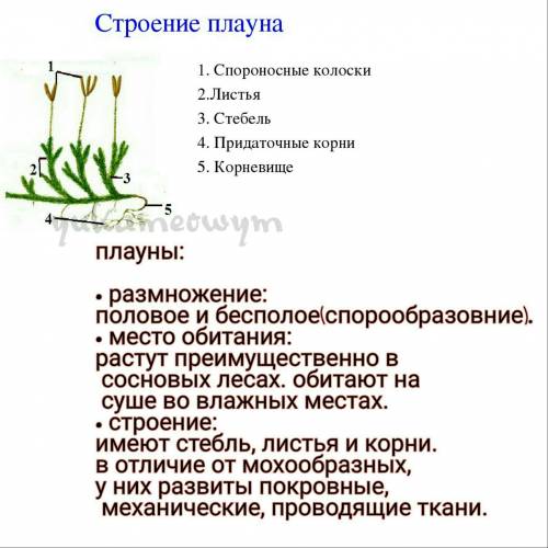 По биологии. нужно составить таблицу по растениям: размножение, место обитания, строение. растения: