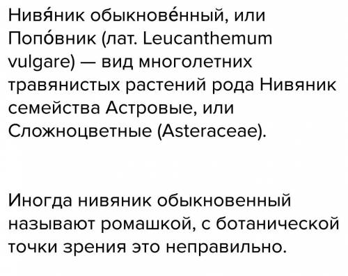 Что такое нивяник? кратко! побыстрее я не успела сделать