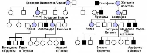 Составить схему наследования гемофилии в царских семьях европы, начиная с королевы виктории.