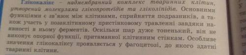 Клітинна стінка є структурою, яка надійно захищає клітину від зовнішніх пошкоджень . але клітини тва