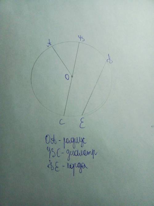 Что такое: окружность, радиус, диаметр, хорда? хотя бы короткий ответ или средний 12