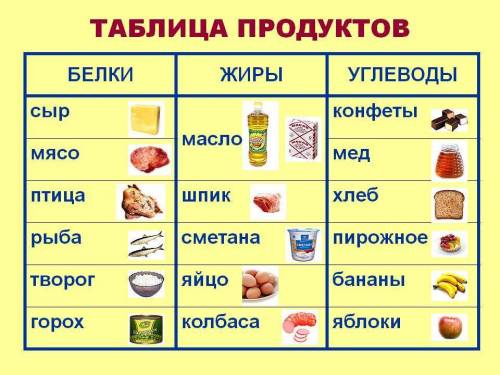 Составь таблицу : примеры продуктов, богатых , жирами и белками