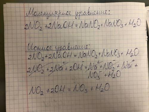 Написать уравнение в молекулярном и ионном виде. no2 + naoh