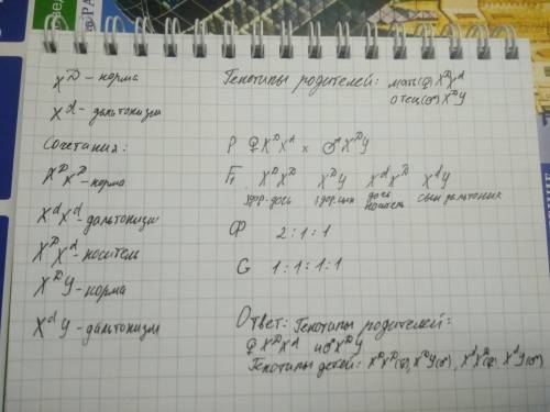 Спо биологии подробно у человека дальтонизм наследуется как рецессивный сцепленный с полом признак.