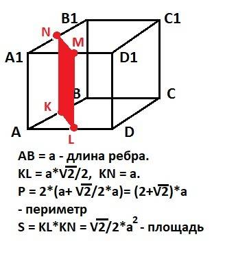 Побудуйте переріз куба аbcda1b1c1d1 площиною яка проходить через середину ребер ав1аd і паралельна п