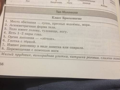 Сравненительная характеристика брюхоногих двустворчатые головоногие среда обитания образ жизни симме