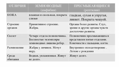 Чем отличаются земноводные от пресмыкающихся