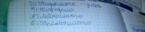 Цитоплазматическая мембрана и цитоплазма клетки. строение и функции.