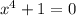 {x}^{4} + 1 = 0