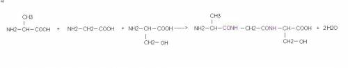 Напишите реакцию образования трипептида ala-gly-ser. это дает больше всего!