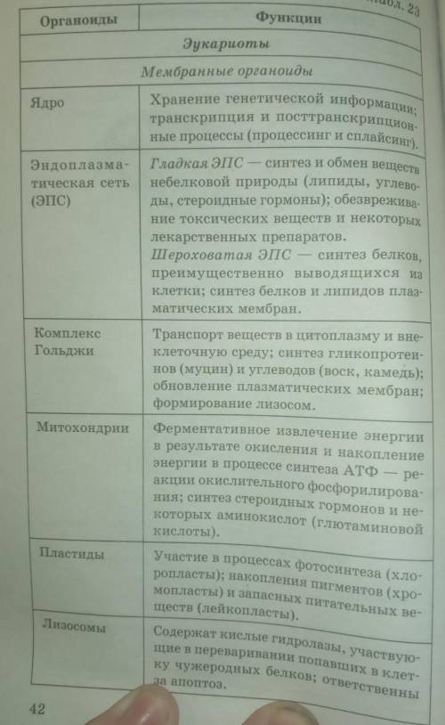 Строение и функции органоидов растительных клеток