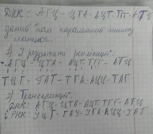 Послідовність нуклеотидів на одному з двох паралельних ланцюгів днк наступна: агц-цта-ацт-тгг-атц.за