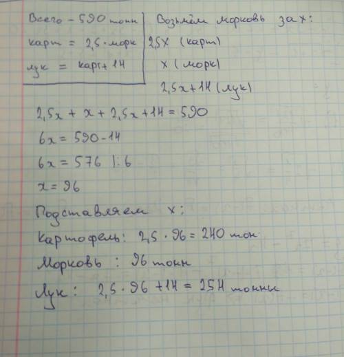 На базе хранится 590 тонн овощей при этом картофиля в 2 ,5 раза больше ,чес моркови лука на 14 тонн