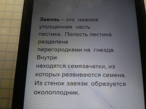 Какую функцию выполняет столбик пестика, рыльце пестика и завязь пестика?