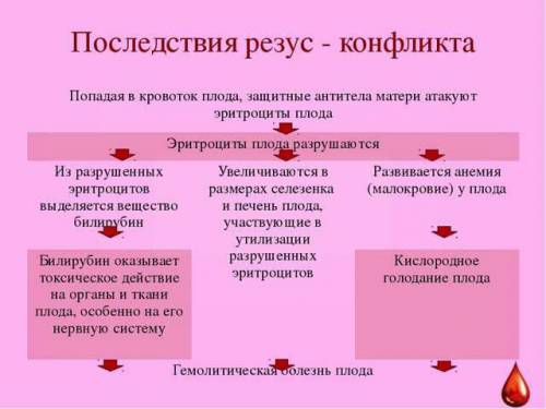 Почему резус конфликт может к гибели ребенка?