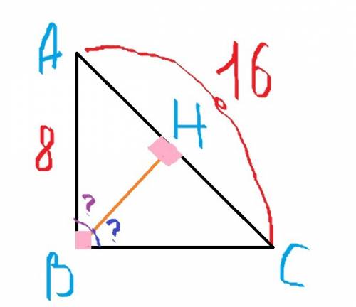 Впрямоугольном треугольнике авс ∠b = 90°, ав = 8 см, ас = 16 см. найдите углы, которые образует выс