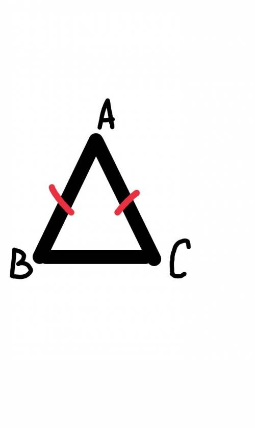 Начертите равнобедренный треугольник абс с ососнованием bc