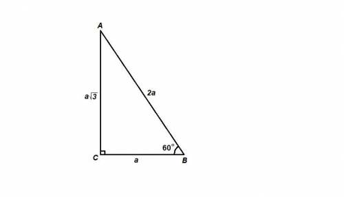 Площадь прямоугольного треугольника равна 162√3 один из острых углов равен 60°. найдите длину катета