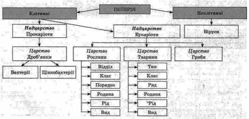 Визначення таксономічного положення виду в системі органічного світу