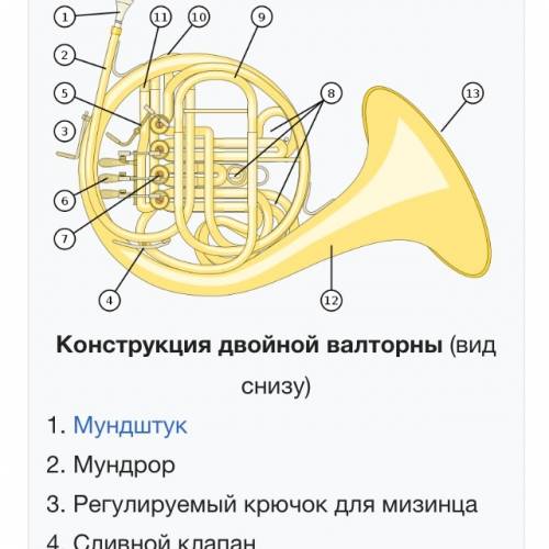 Музыка волторна все про этот инструмент