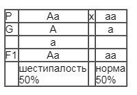 Ген полидактили (6 пальцев) доминирует над нормальным строением кисти. в семье мать имеет нормальное