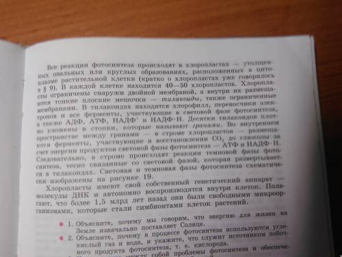 Световая и темновая фазы где протекает, что обращуется, источник энергии,