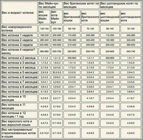 Сколько должна весить здоровая взрослая кошка (за основу брать возраст 7 лет). заранее