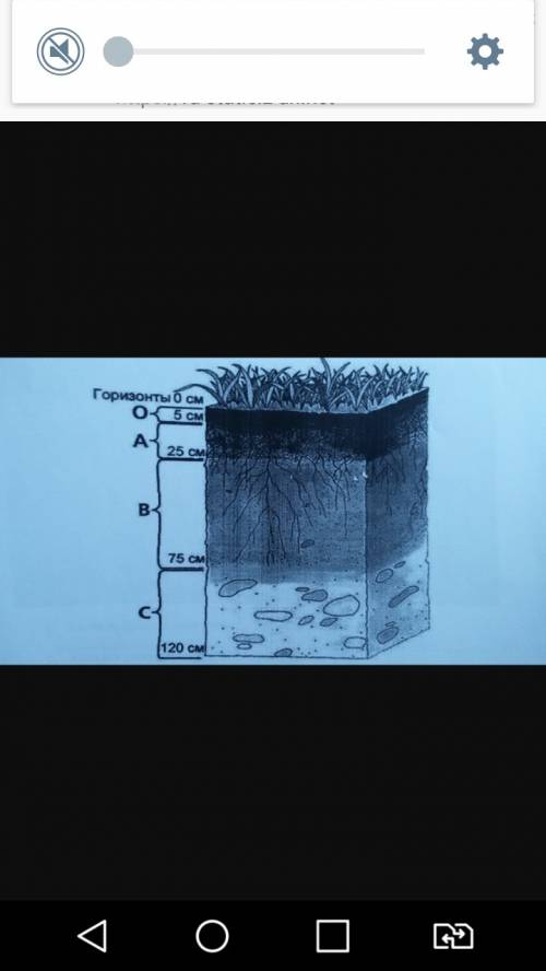 B. представьте строение данного типа почвы (почьвенные слои) в графической форме. почва каштановая
