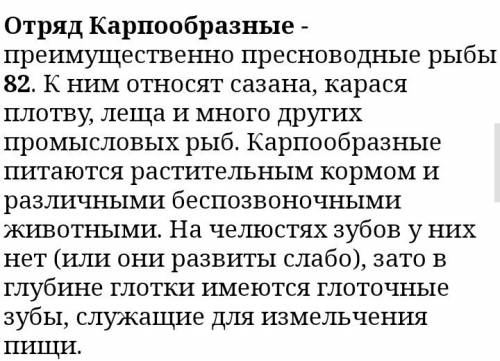 На основе каких признаков выделен отряд карпообразных