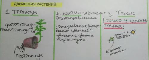 Нарисуйте опорную схему отразив в ней таксисы положительные и отрицательные тропизмы и пассивное дви