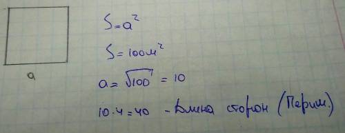 Чему равна длина сторон квадрата,если его площадь 100м²?