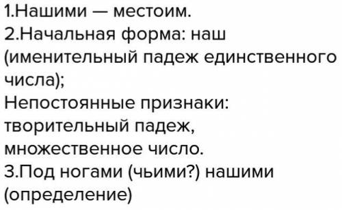 Морфологический разбор слова нашими (шуршали под нашими ногами)