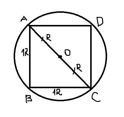 Найдите длину окружности описанной около квадрата со стороной 12 см