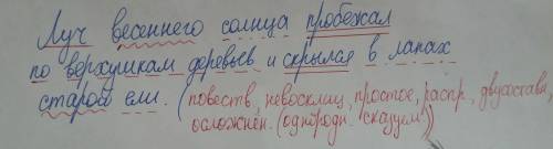 Лучом разбор. Луч весеннего солнца пробежал по верхушкам деревьев. Пробежал по верхушкам деревьев. Разбор предложения лучи солнца. Солнце скрылось за верхушками деревьев синтаксический разбор.