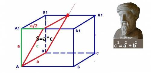 Знайти площю прерізу куба площиною ,що проходить через ребро аd і точкум яка є серединою ребра d1c1.