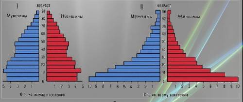 1. особенности соотношения по возрастным категориям и их причины 2. особенности соотношения по полу
