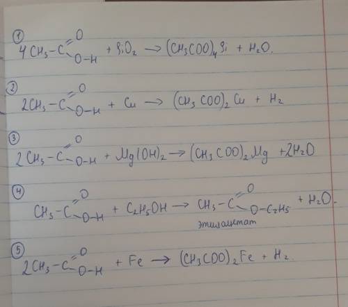 Уксусная кислота взаимодействует с: sio2 cu мg(он)2 с2н5он fe
