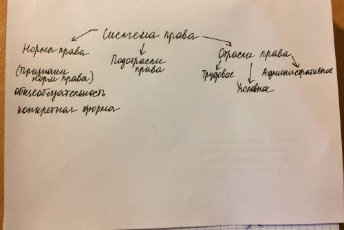 2. начерти схему, используя все слова подотрасль права, норма права, система права, уголовное, админ