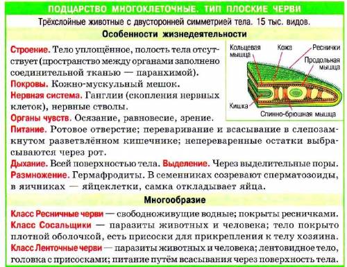 Таблицу по плоским червям. тип плоские черви ресничныепредставители где обитают признаки характерные