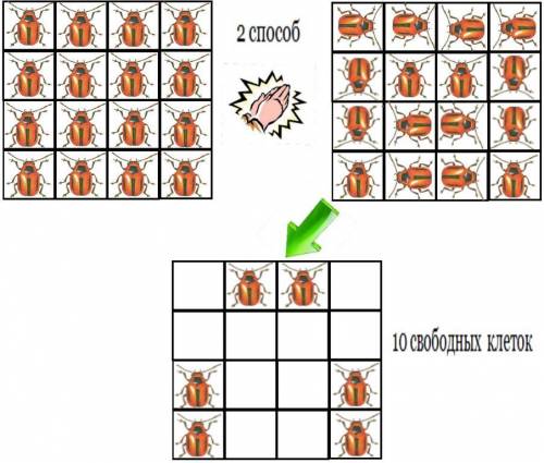 6. в каждой клетке доски 4х4 сидит жук. нeкто хлопнул в ладоши, икаждый жук в панике перебежал в одн