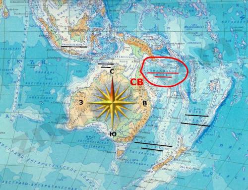 Какое море омывает северо-восточную часть австралии? а)коралловое б)фиджи в)тиморское г)тасманово д