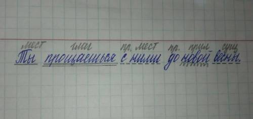 Подчеркните все члены предложения и второстепеные и главный ​