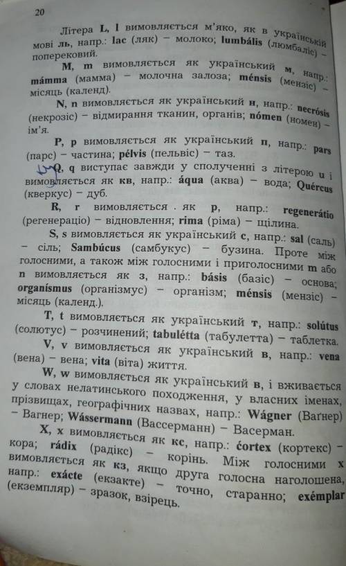 1.сколько в латинском языке гласных? 2.что называется дифтонгом ? как они произносятся? 3. назовит