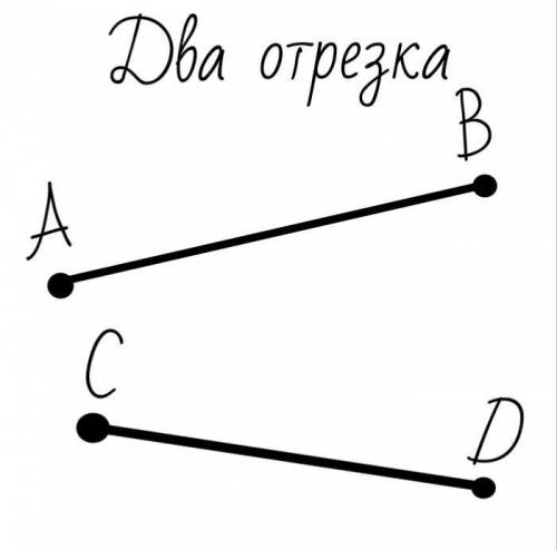 Запиши два отрезка три прямые и три луча